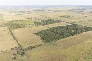 1140 Co Rd 130, Gatesville, TX 76528 - Photo 38