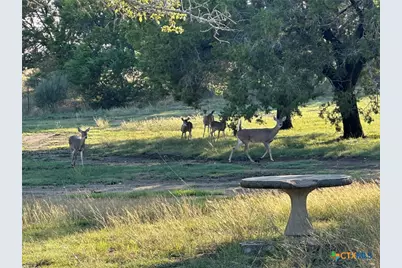 1113 Lutheran Church Road, Copperas Cove, TX 76522 - Photo 20