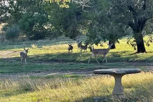1113 Lutheran Church Rd, Copperas Cove, TX 76522 - Photo 20