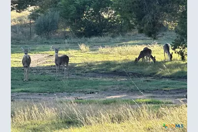 1113 Lutheran Church Road, Copperas Cove, TX 76522 - Photo 4