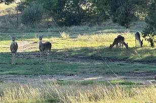 1113 Lutheran Church Rd, Copperas Cove, TX 76522 - Photo 4