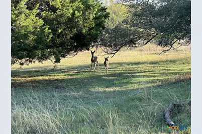 1113 Lutheran Church Road, Copperas Cove, TX 76522 - Photo 12