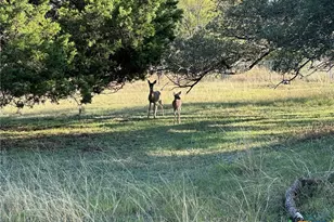 1113 Lutheran Church Rd, Copperas Cove, TX 76522 - Photo 12