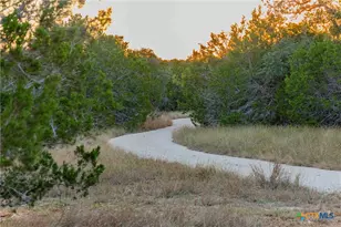8507 Hammetts Crossing, Round Mountain, TX 78663 - Photo 36