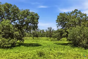 15145 Alternate 90, Kingsbury, TX 78638 - Photo 28