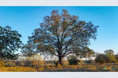 15145 Alternate 90, Kingsbury, TX 78638 - Photo 28