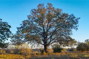15145 Alternate 90, Kingsbury, TX 78638 - Photo 28