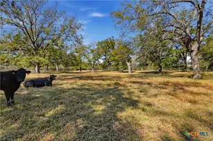 15145 Alternate 90, Kingsbury, TX 78638 - Photo 8