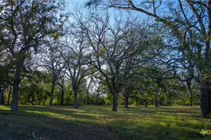 15145 Alternate 90, Kingsbury, TX 78638 - Photo 36