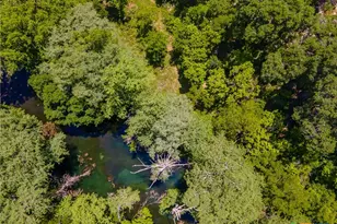 9130 Rebecca Creek Rd, Spring Branch, TX 78070 - Photo 38