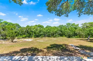 9130 Rebecca Creek Rd, Spring Branch, TX 78070 - Photo 32