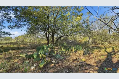 74 County Road 454, Stockdale, TX 78160 - Photo 6