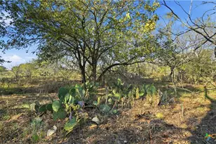 74 Co Rd 454, Stockdale, TX 78160 - Photo 6