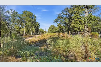 Tbd Turkey Tree Trail, Seguin, TX 78155 - Photo 14