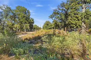 Tbd Turkey Tree Trail, Seguin, TX 78155 - Photo 14