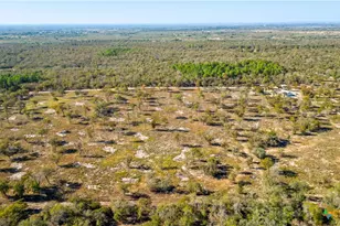 Tbd Turkey Tree Trail, Seguin, TX 78155 - Photo 8