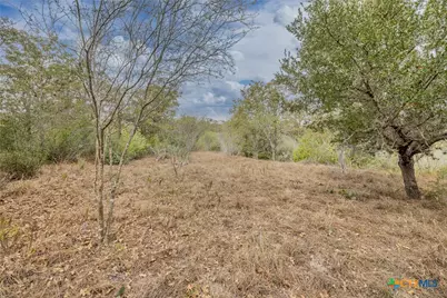 Tbd Metz, Weesatche, TX 77993 - Photo 10