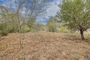 Tbd Metz, Weesatche, TX 77993 - Photo 10