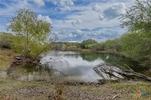 Tbd Metz, Weesatche, TX 77993 - Photo 8