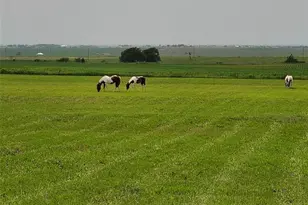 15620 Harry Lind Rd, Elgin, TX 78621 - Photo 8