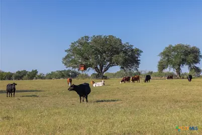 3012 US Highway 77, Hallettsville, TX 77964 - Photo 28