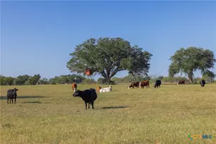 3012 US Hwy 77, Hallettsville, TX 77964 - Photo 28