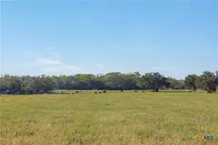 3012 US Hwy 77, Hallettsville, TX 77964 - Photo 30