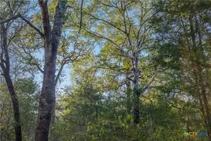 3012 US Hwy 77, Hallettsville, TX 77964 - Photo 26