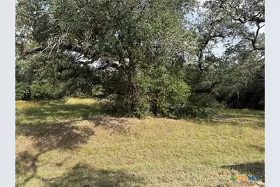 127 Center Tree Drive, Palacios, TX 77465 - Photo 4