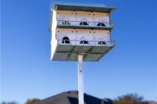 2010 Purple Martin Dr, Killeen, TX 76542 - Photo 46