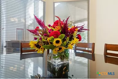 30900 Woodbine Way, Boerne, TX 78015 - Photo 28