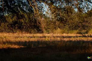 7702 Ranch Rd 965, Llano, TX 78643 - Photo 44