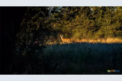 7702 Ranch Road 965, Llano, TX 78643 - Photo 42