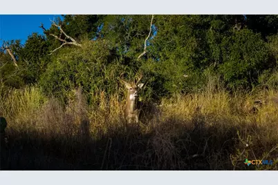 7702 Ranch Road 965, Llano, TX 78643 - Photo 24