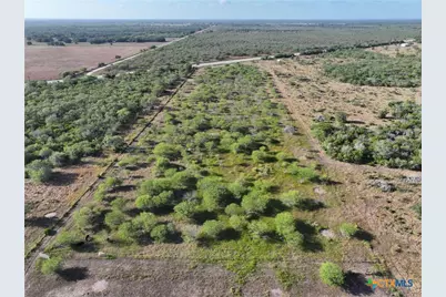 6590 Hwy 59, Goliad, TX 77963 - Photo 2