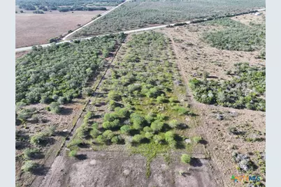 6590 Hwy 59, Goliad, TX 77963 - Photo 16