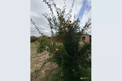 902 Draco Drive, Killeen, TX 76542 - Photo 24