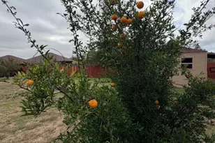 902 Draco Dr, Killeen, TX 76542 - Photo 24