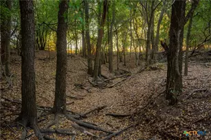 2574 Cr 211, Hico, TX 76457 - Photo 8