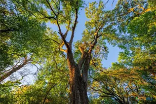 2574 Cr 211, Hico, TX 76457 - Photo 6