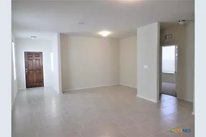 334 Mistflower, New Braunfels, TX 78130 - Photo 34