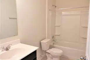 334 Mistflower, New Braunfels, TX 78130 - Photo 36