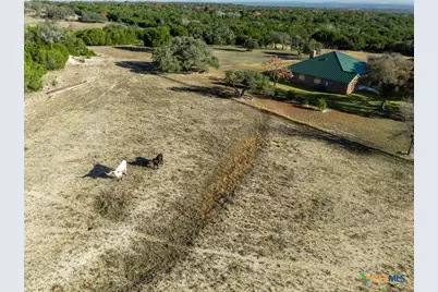 853 County Road 4390, Kempner, TX 76539 - Photo 24