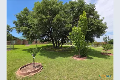 853 County Road 4390, Kempner, TX 76539 - Photo 4