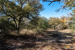 12851 FM1117, Seguin, TX 78155 - Photo 1