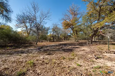 12851 Fm 1117, Seguin, TX 78155 - Photo 4