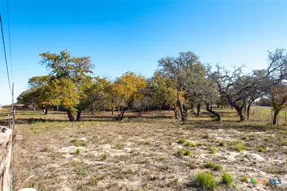 12851 Fm 1117, Seguin, TX 78155 - Photo 2