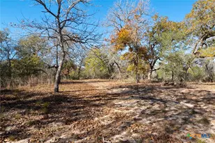 12851 FM1117, Seguin, TX 78155 - Photo 6