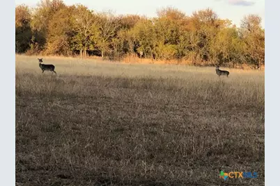 1512 River Grove Road #B, Martindale, TX 78655 - Photo 8