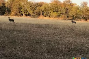 1512 River Grove Rd, Martindale, TX 78655 - Photo 8